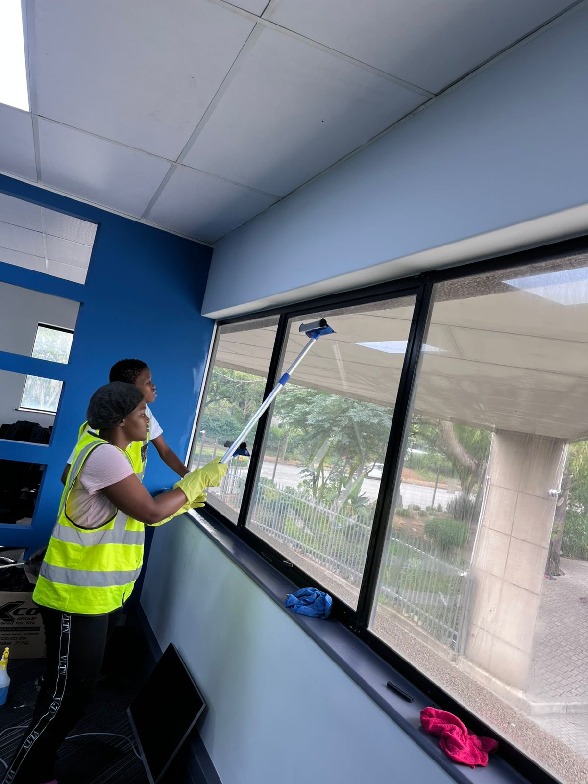 Cleaning interior window looking out at greenery